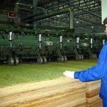 Что такое шпон файнлайн?